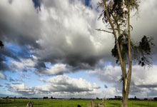 开云体育官网：2025年全国室内田径锦标赛落幕.