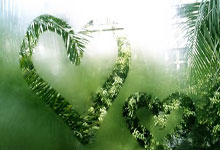 ⚽意甲战报：阿瑙托维奇、弗拉泰西破门，索莱世界波，国米2-1乌迪内斯.