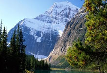 开云体育官网：2025年全国室内田径锦标赛落幕.